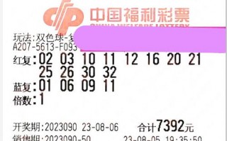 彩票联盟，梦想与现实的博弈，理性与疯狂的交织