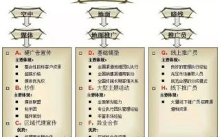 广告联盟运作揭秘，从策略到实践的全方位解析