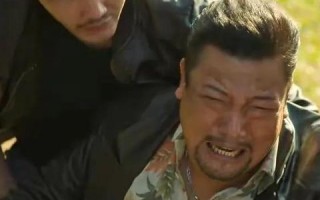 13AD广告联盟，打造高效广告投放，引领数字营销新时代