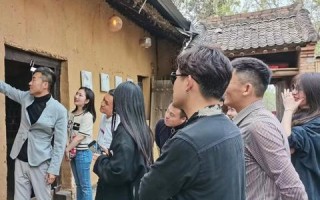 合纵广告联盟，重塑数字营销生态，引领品牌新未来