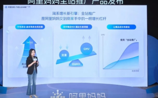 阿里妈妈广告联盟一个月能赚多少钱？揭秘背后的盈利逻辑与数字