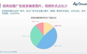 网站投放联盟广告的要求与策略