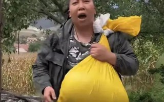 诚信广告联盟，重塑数字营销生态，共筑信任基石