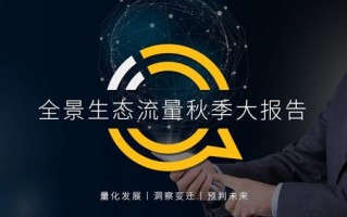 Top5流量联盟，重塑数字营销格局的五大力量