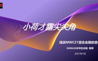 多比流量站，解锁数字时代的数据洪流与机遇