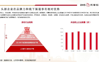 5258广告联盟深度解析，优势、挑战与未来发展