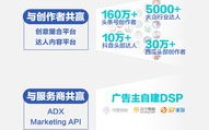 深度剖析广告联盟评测，揭秘高效推广的真相与策略