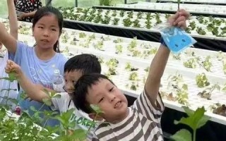 很好数据，解锁大数据时代的无限可能