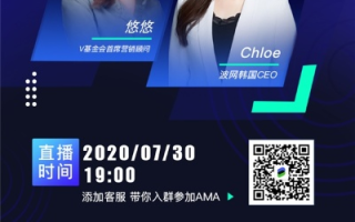 鲸鲨网盟，探索海洋生态与数字经济的交汇点