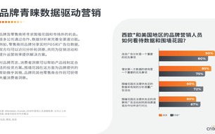 TN广告联盟，重塑数字营销新生态的先锋力量