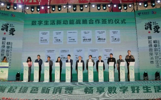 绿网广告联盟，打造绿色网络生态，引领数字营销新风尚