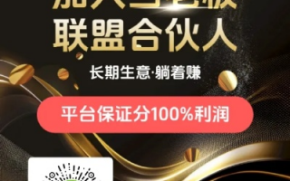 赚客联盟，打造个人财富增长的新引擎