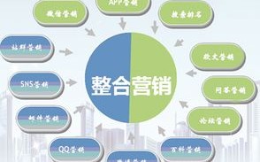 小型企业网络广告形式选择，策略与实践