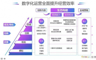 赢告广告联盟，重塑数字营销新生态