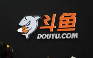 斗鱼广告联盟，打造高效广告生态，引领游戏直播新风尚