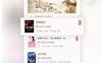 论坛与小说网站，探索广告联盟申请的可行之路