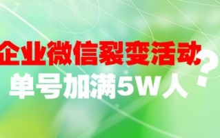 来丰收实效推广网盟，打造高效营销，助力企业实现丰收