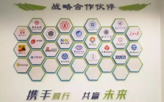 领航联盟，携手并进，共创未来商业版图