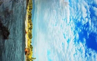 阅天下传媒，连接全球，重塑信息传播新生态