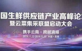 零稳联盟，重塑稳定与变革的平衡之道