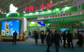 聚兴推广中心，打造品牌新高度，引领市场新潮流