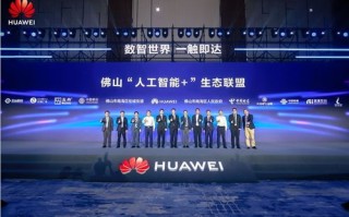 SP联盟，重塑数字娱乐生态的先锋力量