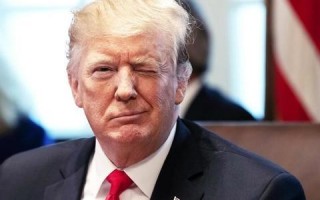 51广告联盟，打造高效广告投放，助力企业精准营销