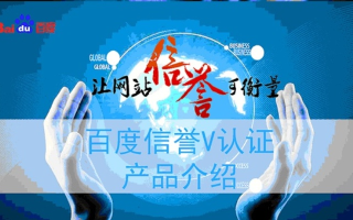 百度联盟验证，确保合作质量与信誉的关键步骤