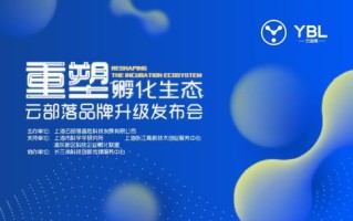 思创广告联盟，重塑数字营销新生态，引领品牌创新之路
