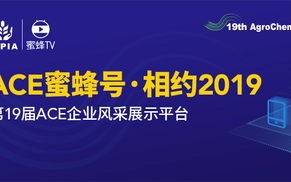 科鼎广告联盟，重塑数字营销新生态