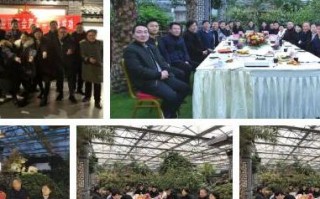 淘宝联盟为什么进不去？深度解析与解决方案