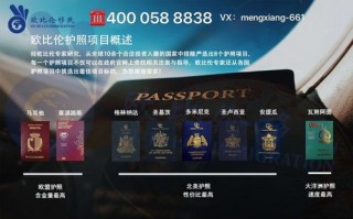 HYP广告联盟，英国商业广告的新势力