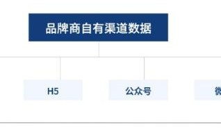 网络广告的形式有哪些，探索数字时代的营销新境界