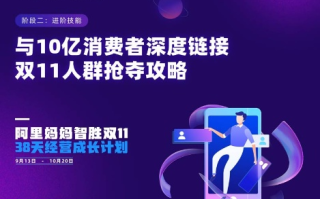 阿里妈妈，数字营销领域的智慧之母