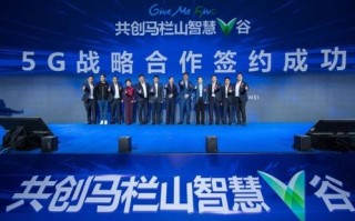 11sl创点联盟，携手共创数字时代新纪元