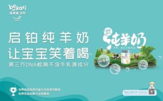 蓝猫广告联盟，打造高效营销生态，引领数字时代广告新风尚