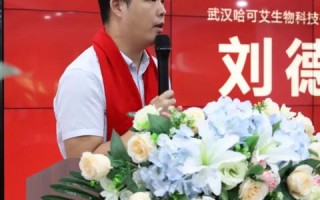 联盟评测，多维度解析游戏联盟策略与实战效果