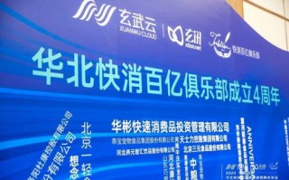 飞天马广告联盟，重塑数字营销新生态的领航者