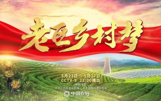 老乡广告联盟，连接乡土情感，共筑品牌新篇章
