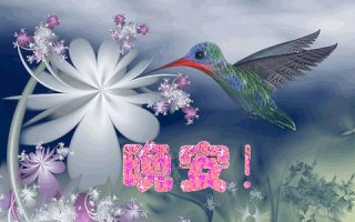 天空联盟，探索宇宙奥秘，携手共创未来