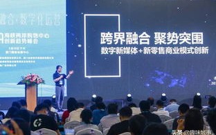 日本广告联盟，重塑数字营销生态的幕后推手