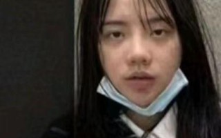 麻豆富媒体联盟，重塑数字营销新生态的先锋力量
