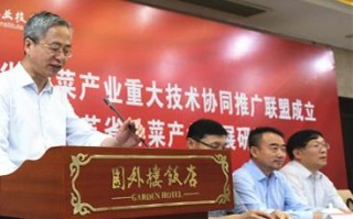 手机App推广联盟，打造高效营销渠道，助力应用飞速成长