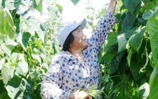 汇成广告联盟，打造高效精准广告投放的秘诀