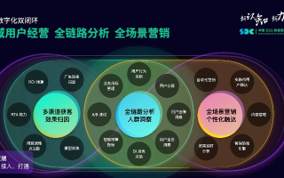 飞马广告联盟，重塑数字营销新生态的领航者