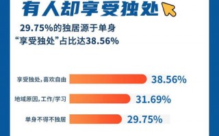 宝利交友CPA联盟，重塑社交与职业发展的双赢模式