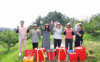 水蜜桃联盟，共筑甜蜜事业，共享丰收喜悦