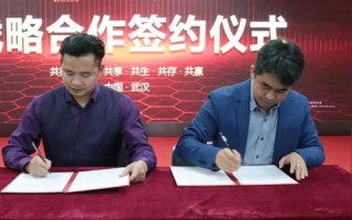 探索我的百分之一网站联盟，共创共赢的互联网新生态