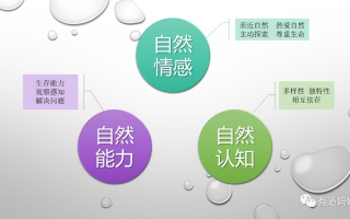 自爱网，构建自我认知的桥梁，探索内在力量的源泉