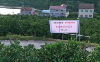 淘宝联盟如何上架商品到淘宝，全面指南